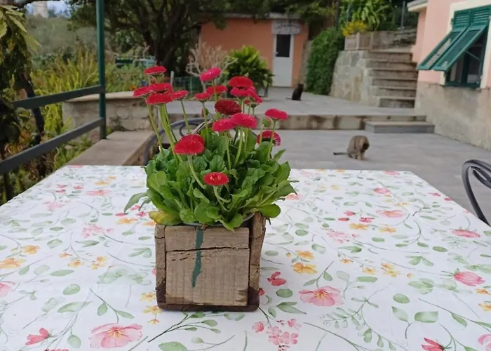 Ca Du Stea * Lavagna