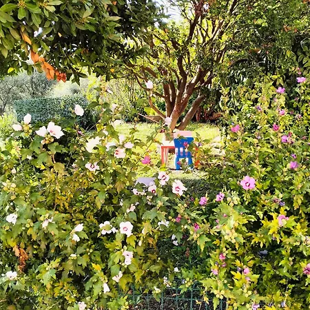 Apartamento Ca Du Stea